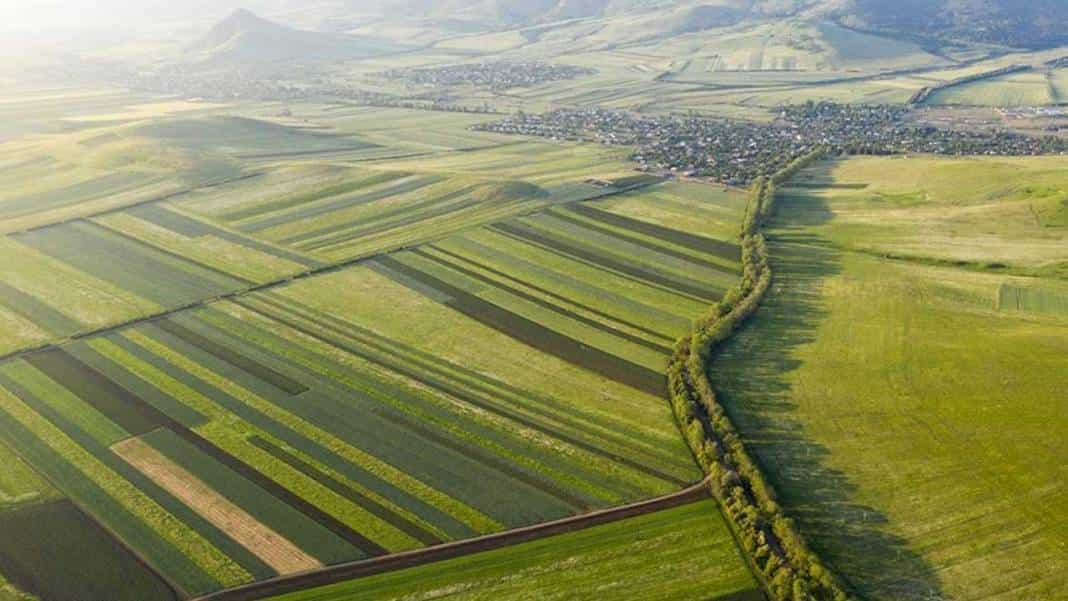 Zunehmender Grundstücksmissbrauch bei Grundstücksinvestitionen in letzter Zeit und entsprechende Maßnahmen