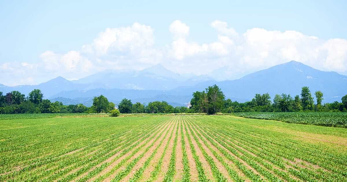 Was ist ein abgetrenntes Feld? Was bedeutet abgetrennt im Grundbuch?