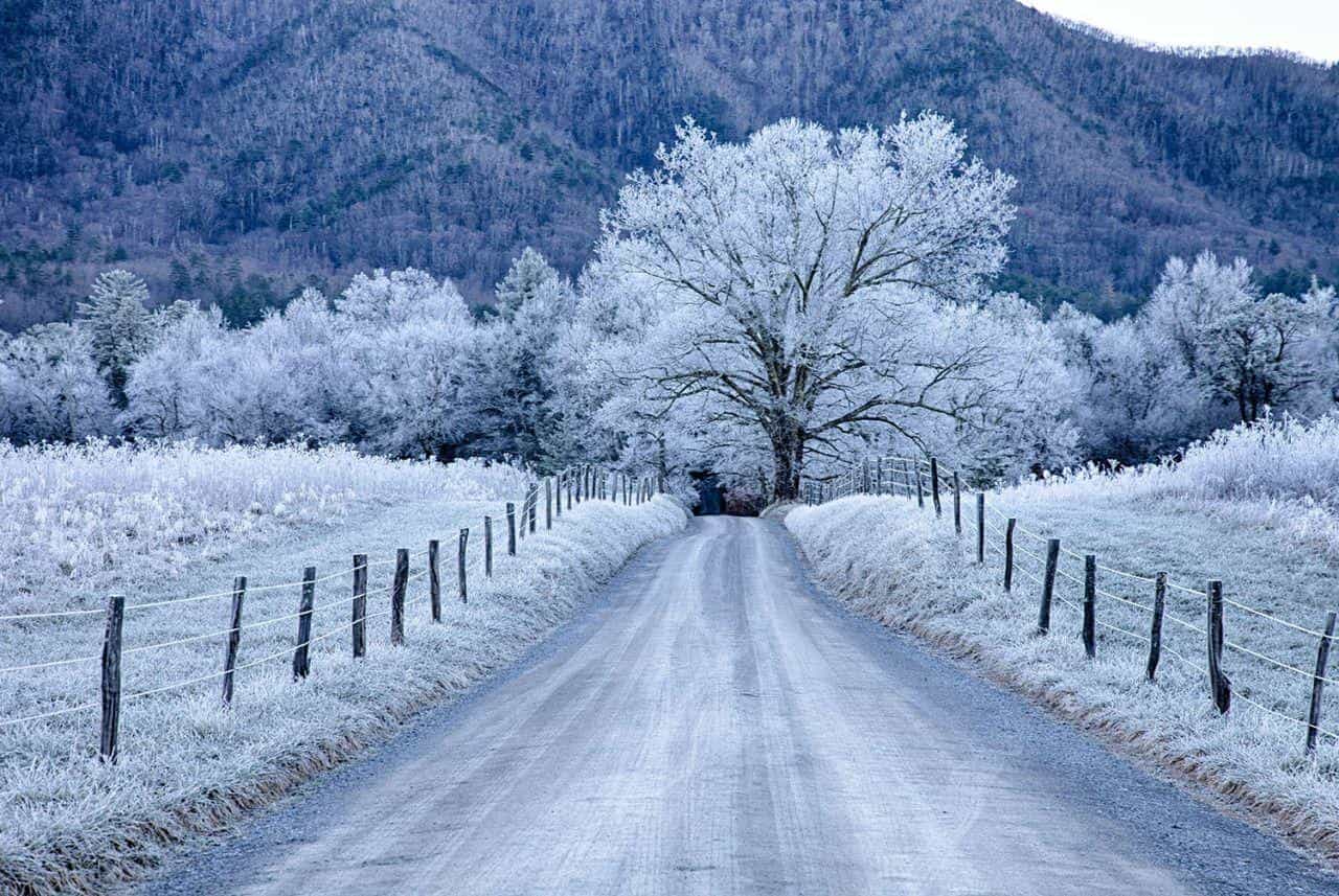 Wir haben mit der Wintervorbereitung in den Häusern begonnen.