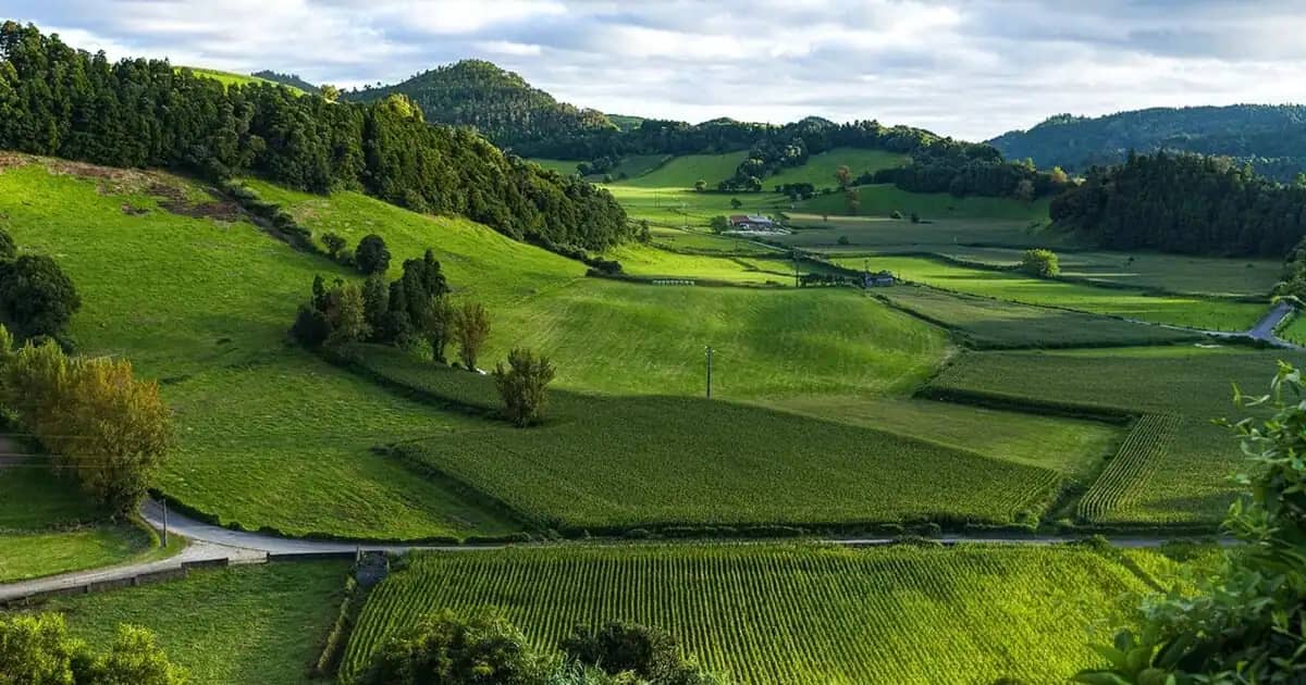 How Is Land Investment Done? A Comprehensive Guide