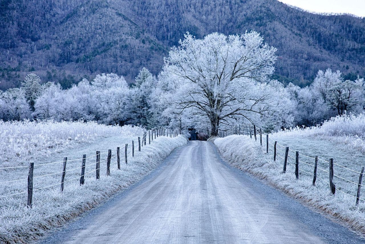 Winter Preparations Start at Home