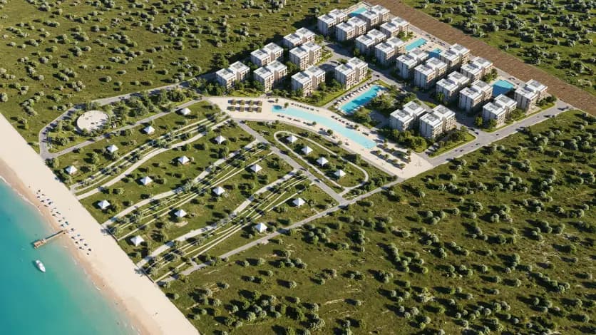 Project image 13