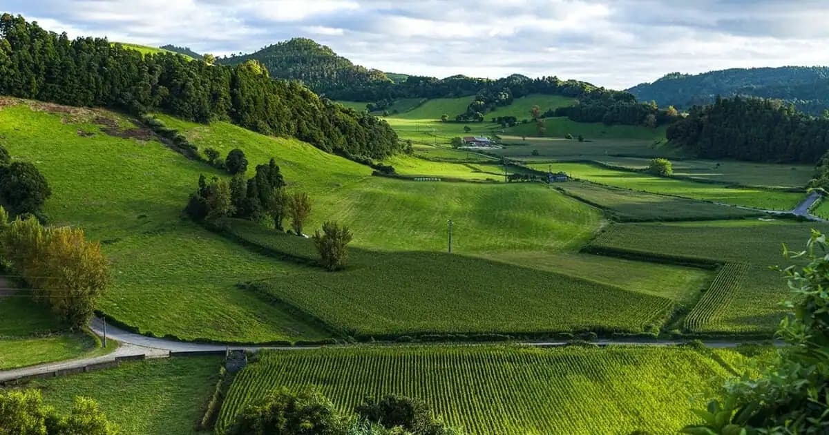 How Is Land Investment Done? A Comprehensive Guide