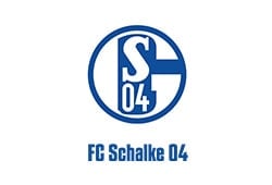 fc shalke-min